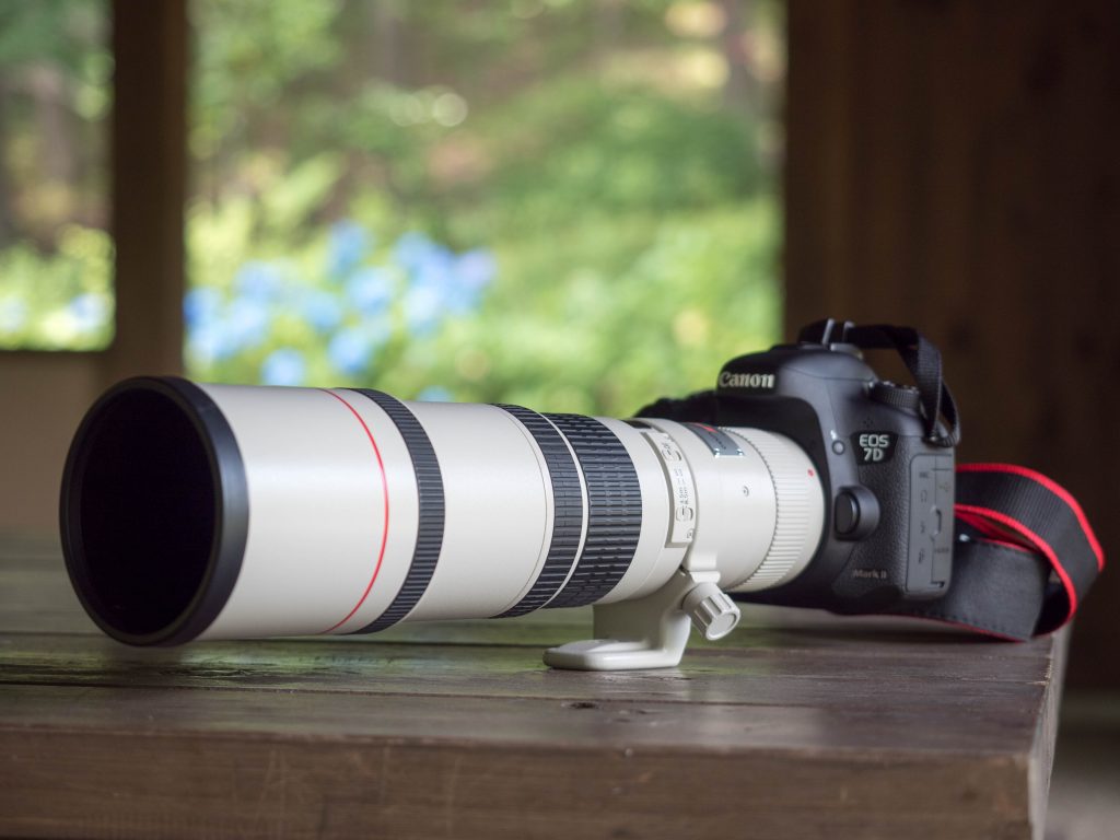 Canon EF 400mm F5.6 L USM カメラレンズ 単焦点 EF - www.tigerwingz.com