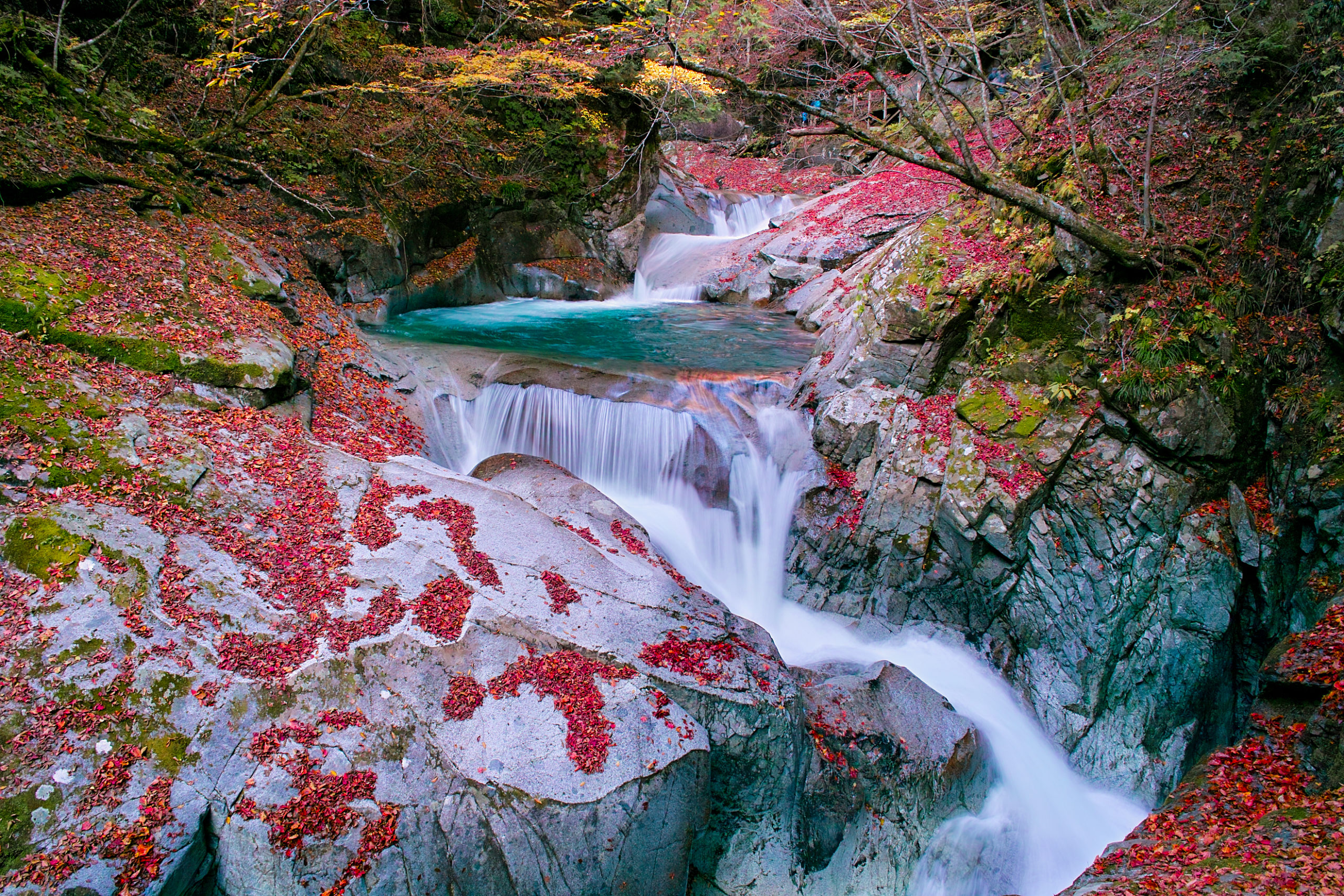 西沢渓谷の紅葉